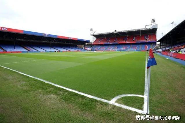 蓝鹰怒吼——水晶宫球迷上街抗议欧足联剥夺欧联席位